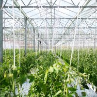 InterAtlas-greenhouse